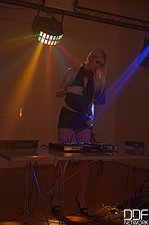ddfnetwork.com