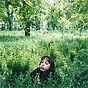 SeventeenLive.com